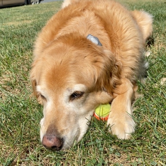 WELCOME TO MY CLOSET - Picture 4 of 4